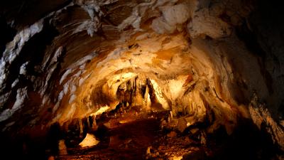 Guided tour of the Cave of Urdax